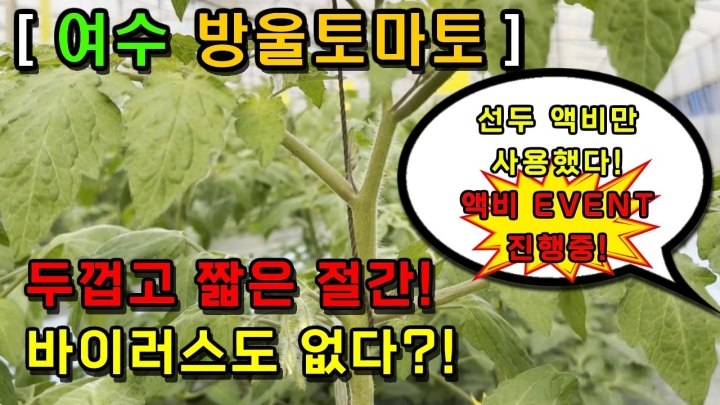 [전남 여수] 짧은 절간! 바이러스는 없다! 액비는 오직 선두바이오제품만 사용!