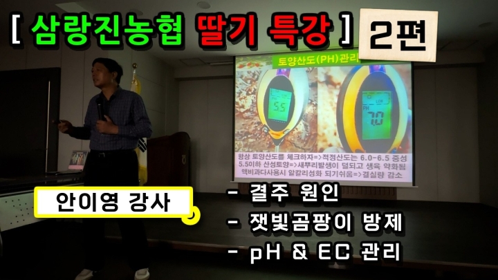 [경남 밀양] 딸기 생육 및 병충해 방지! 안이영 강사 딸기 특강(2편)