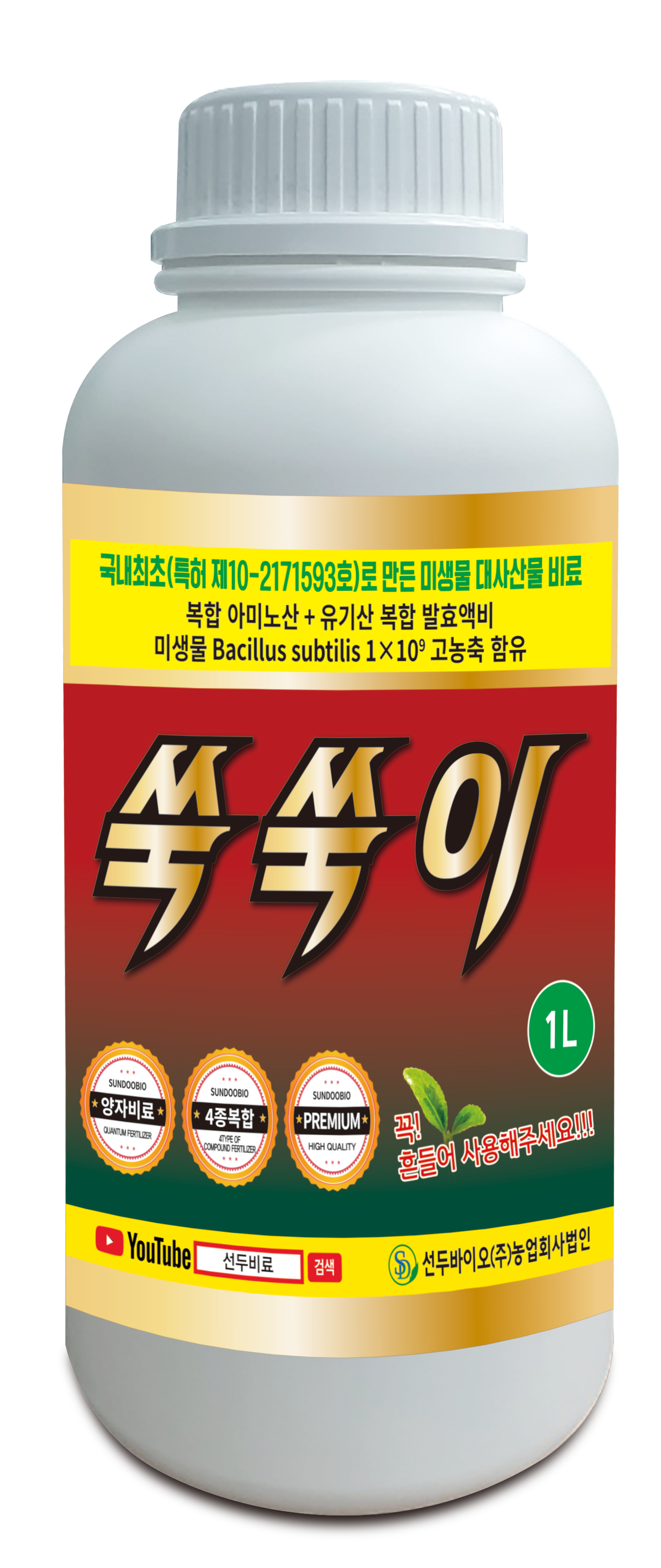 쑥쑥이